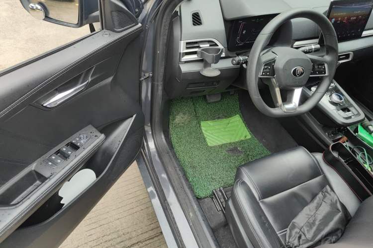 Used BYD e2 2019 Long-Range Version Yao·Luxury Trim Driver Seat