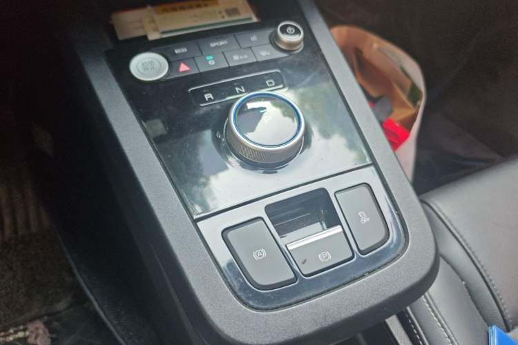 Used BYD e2 2019 Long-Range Version Yao·Luxury Trim Gear Lever