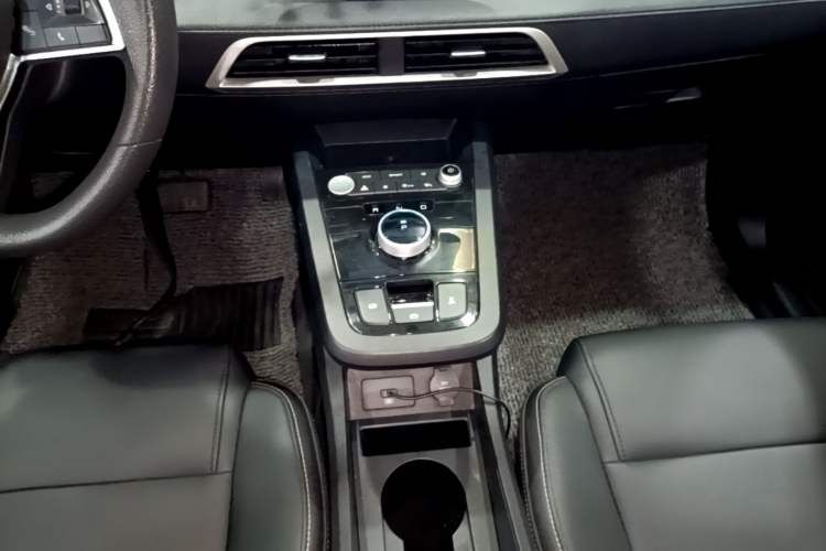 Used BYD e2 2019 Long-Range Version Yao·Luxury Trim Gear Lever