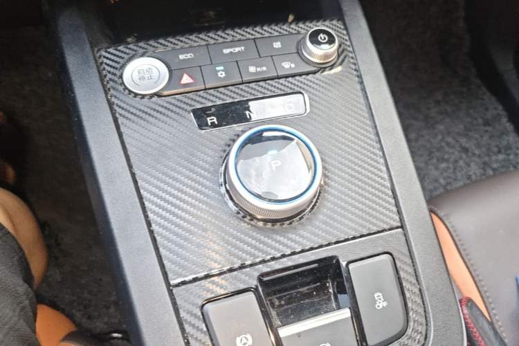Used BYD e2 2019 Long-Range Version Yao·Luxury Trim Gear Lever