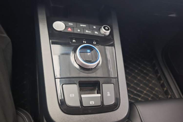 Used BYD e2 2019 Standard Range Model – Smart & Comfortable Version Gear Lever