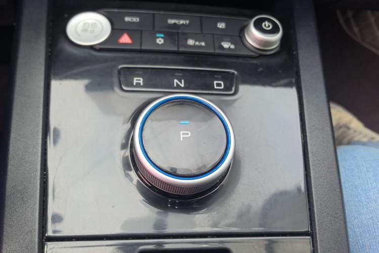 Used BYD e2 2019 Long-Range Version Yao·Luxury Trim Gear Lever