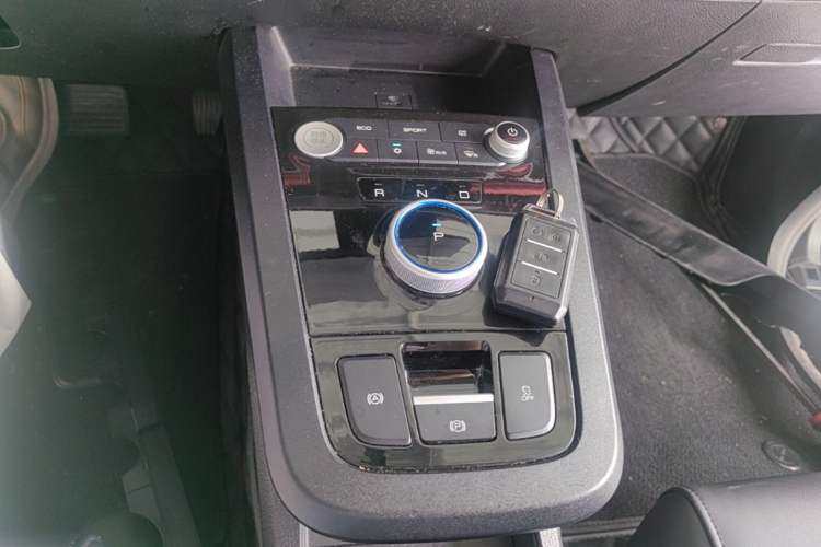 Used BYD e2 2019 Long-Range Version Yao·Luxury Trim Gear Lever