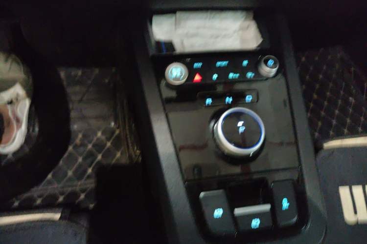 Used BYD e2 2019 Standard Range Model – Smart & Comfortable Version Gear Lever