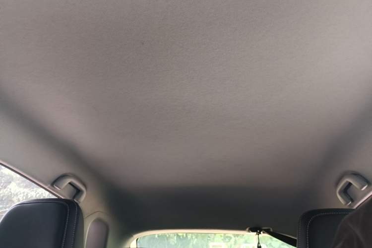 Used BYD e2 2019 Long-Range Version Yao·Luxury Trim Headliner