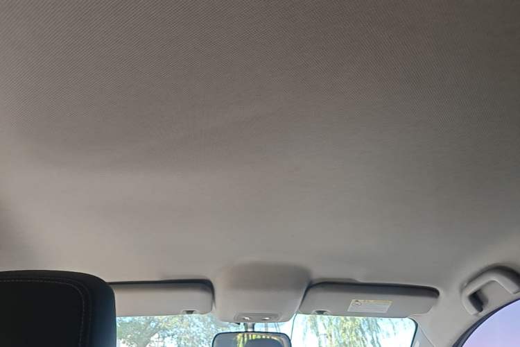 Used BYD e2 2019 Long-Range Version Yao·Luxury Trim Headliner