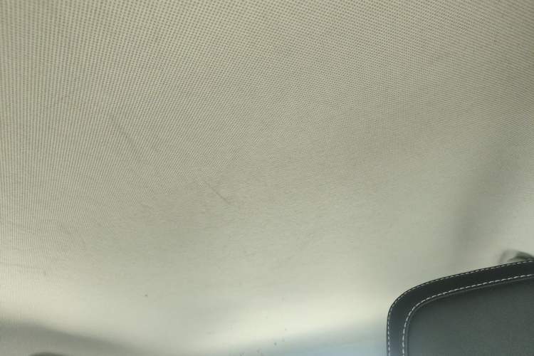 Used BYD e2 2019 Long-Range Version Yao·Luxury Trim Headliner