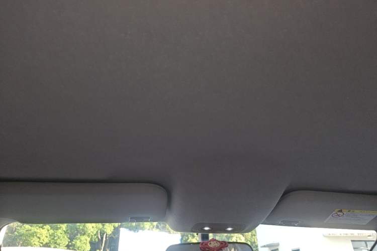Used BYD e2 2019 Long-Range Version Yao·Luxury Trim Headliner