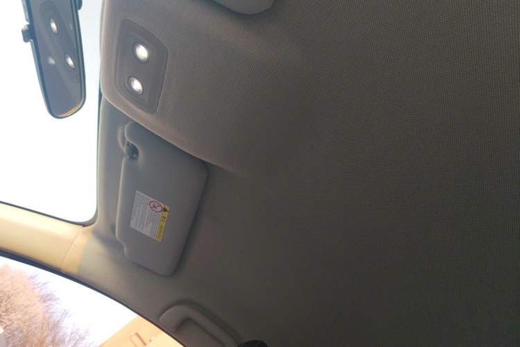 Used BYD e2 2019 Long-Range Version Yao·Luxury Trim Headliner