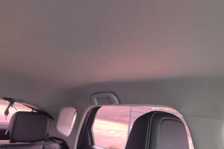 Used BYD e2 2019 Long-Range Version Yao·Luxury Trim Headliner