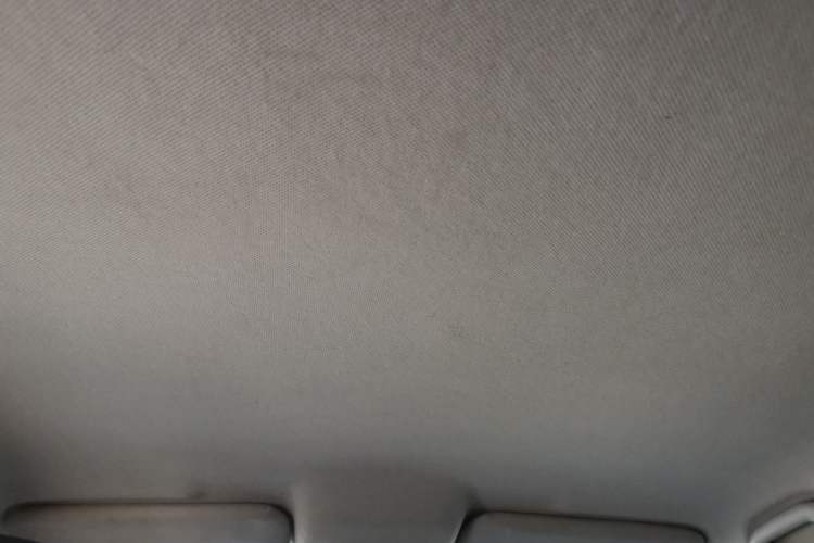 Used BYD e2 2019 Long-Range Version Yao·Luxury Trim Headliner