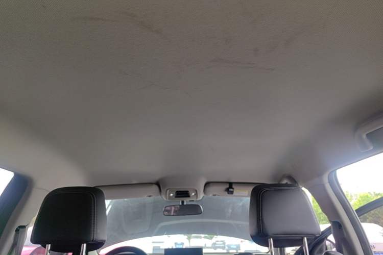 Used BYD e2 2019 Long-Range Version Yao·Luxury Trim Headliner