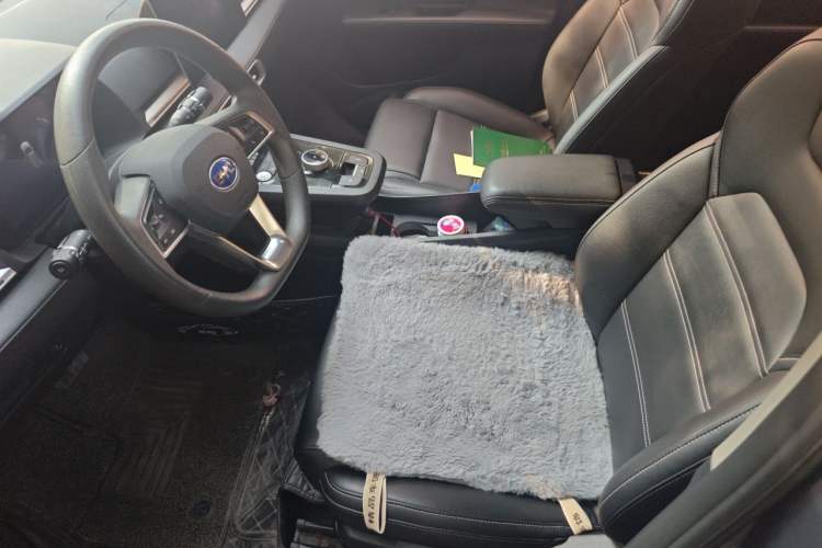 Used BYD e2 2019 Long-Range Version Yao·Luxury Trim Left Front Seat