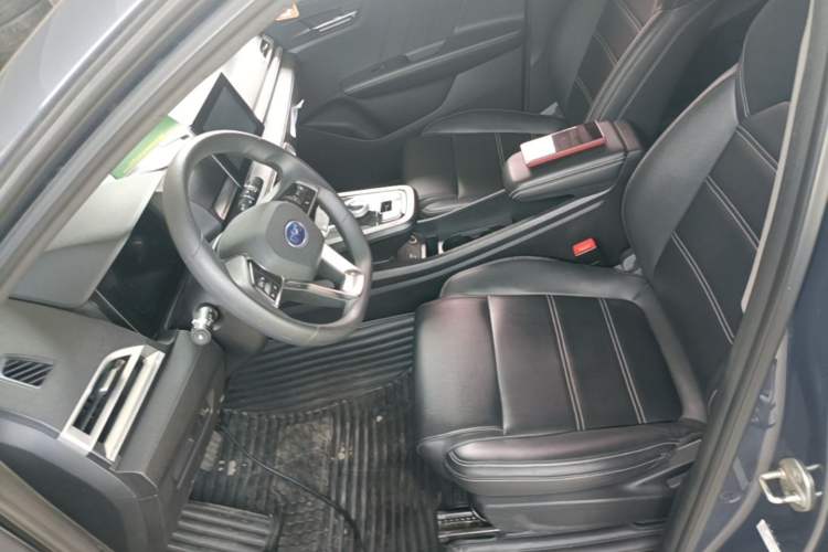Used BYD e2 2019 Long-Range Version Yao·Luxury Trim Left Front Seat