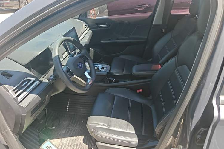 Used BYD e2 2019 Long-Range Version Yao·Luxury Trim Left Front Seat