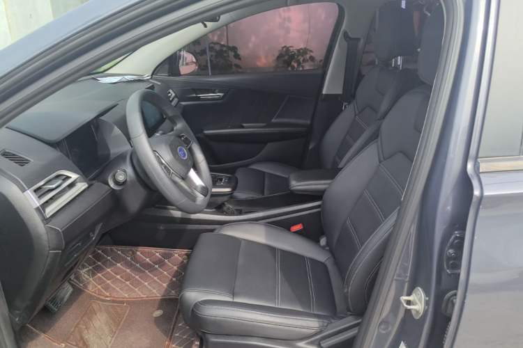 Used BYD e2 2019 Long-Range Version Yao·Luxury Trim Left Front Seat