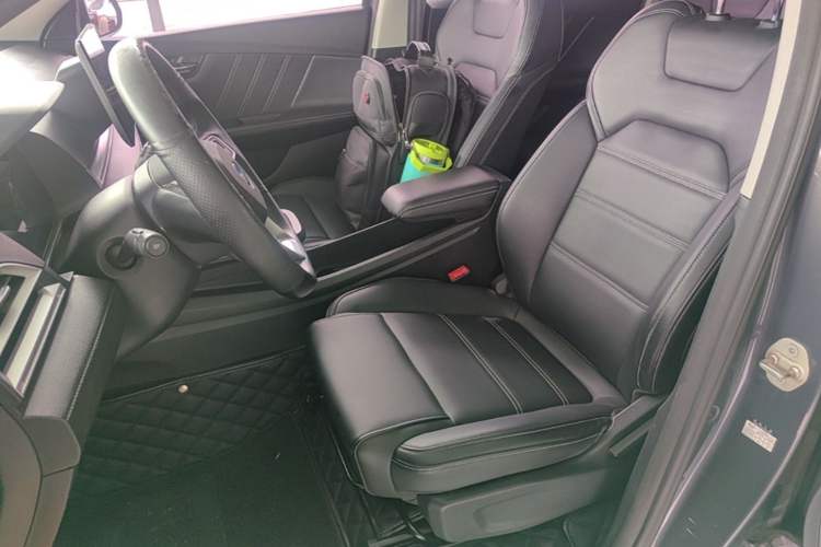 Used BYD e2 2019 Long-Range Version Yao·Luxury Trim Left Front Seat