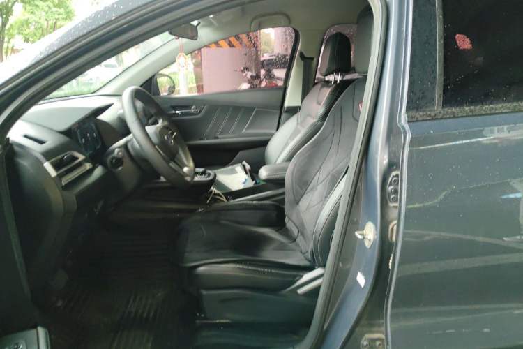 Used BYD e2 2019 Long-Range Version Yao·Luxury Trim Left Front Seat