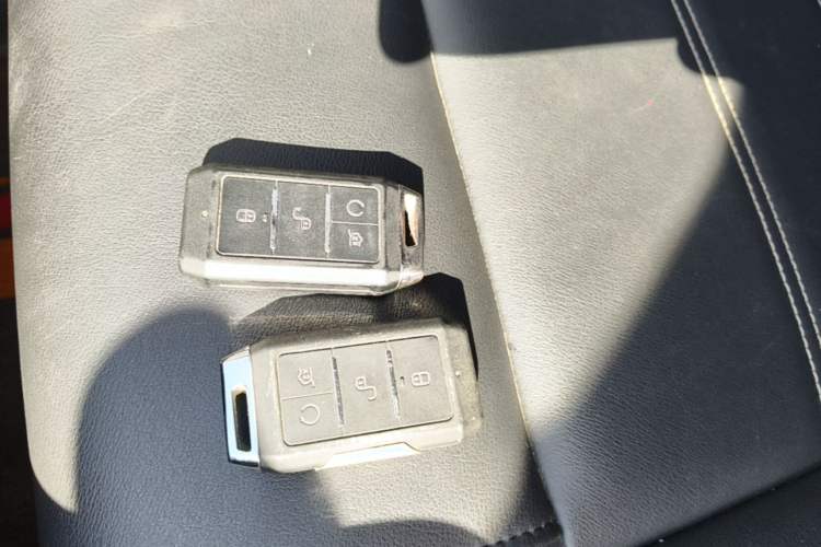 Used BYD e2 2019 Standard Range Model – Smart & Comfortable Version Vehicle Key