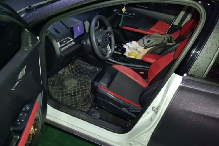 Used BYD e2 2019 Long-Range Version Yao·Luxury Trim Driver Seat