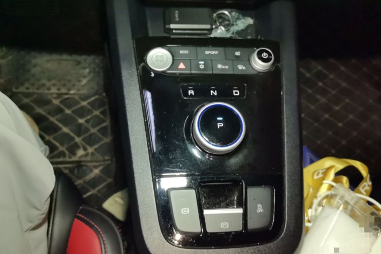 Used BYD e2 2019 Long-Range Version Yao·Luxury Trim Gear Lever