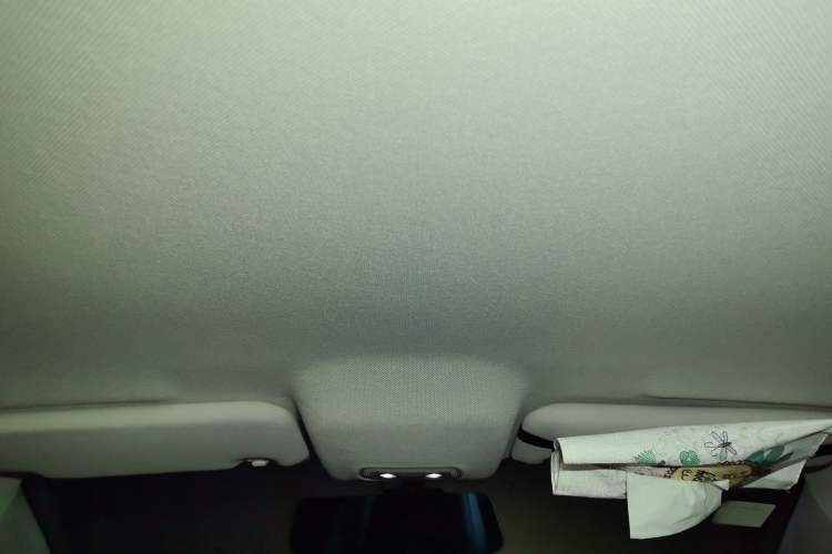 Used BYD e2 2019 Long-Range Version Yao·Luxury Trim Headliner