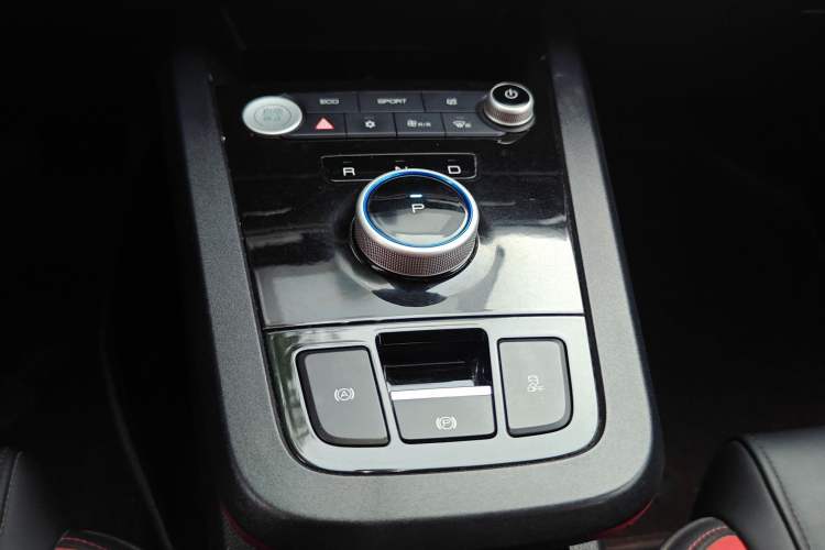 Used BYD e2 2019 Long-Range Version Yao·Luxury Trim Gear Lever
