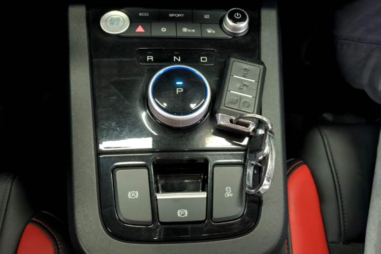 Used BYD e2 2019 Long-Range Version Yao·Luxury Trim Gear Lever