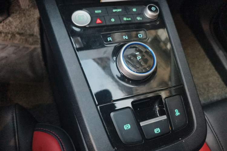 Used BYD e2 2019 High-Range Version – Chuan·Luxury Model Gear Lever