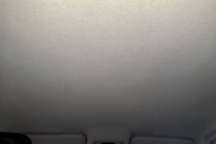 Used BYD e2 2019 Long-Range Version Yao·Luxury Trim Headliner