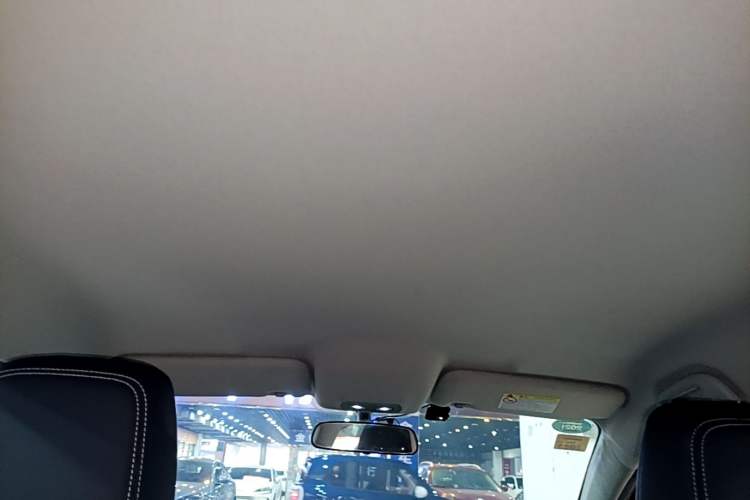Used BYD e2 2019 Long-Range Version Yao·Luxury Trim Headliner