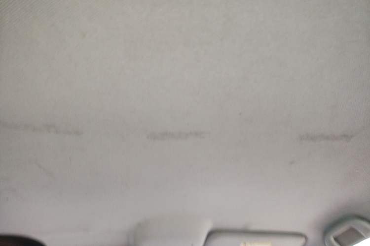 Used BYD e2 2019 Long-Range Version Yao·Luxury Trim Headliner