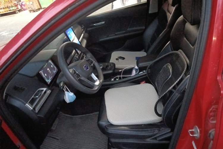 Used BYD e2 2019 Standard Range Model – Smart & Comfortable Version Left Front Seat