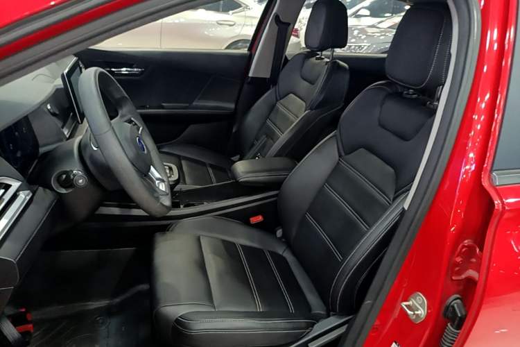 Used BYD e2 2019 Long-Range Version Yao·Luxury Trim Left Front Seat
