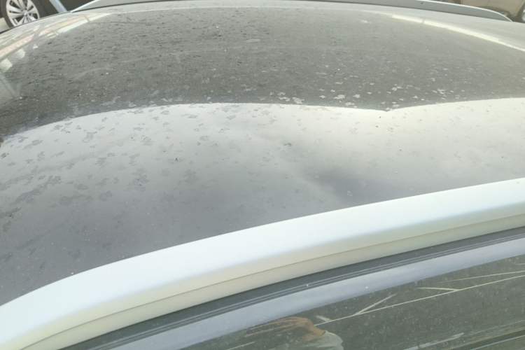 Used BYD e2 2019 Standard Range Model – Smart & Comfortable Version Roof