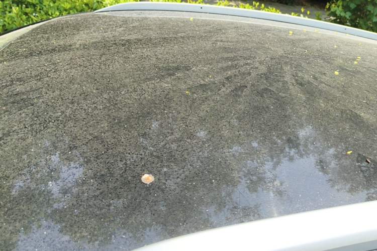 Used BYD e2 2019 Standard Range Model – Smart & Comfortable Version Roof