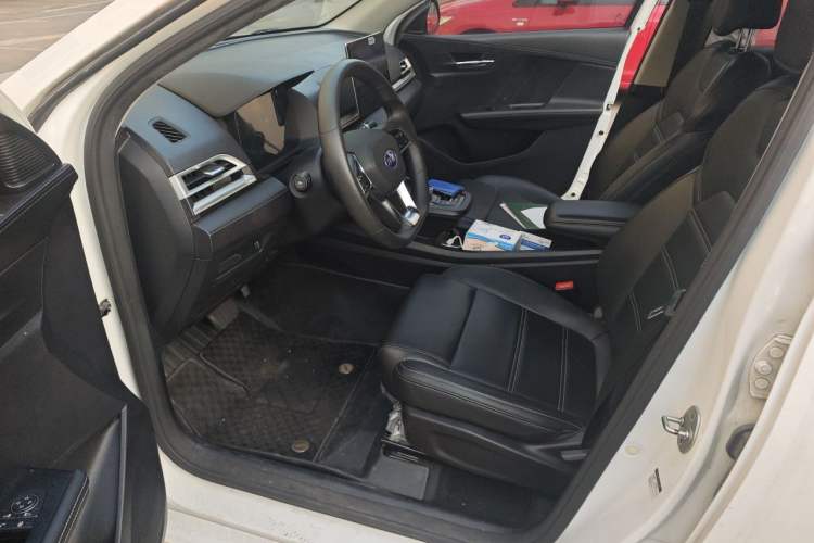Used BYD e2 2019 Long-Range Version Yao·Luxury Trim Driver Seat