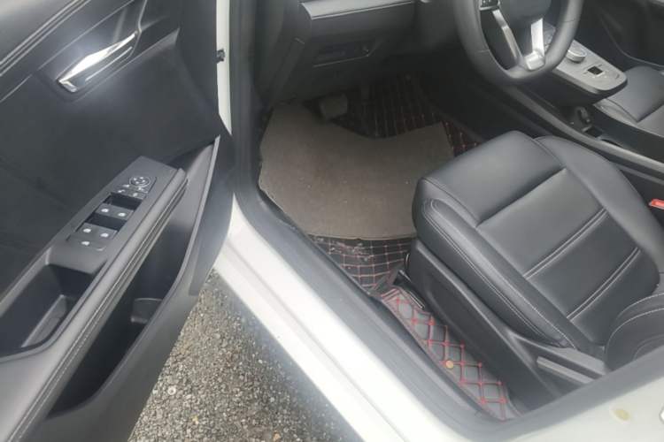 Used BYD e2 2019 Long-Range Version Yao·Luxury Trim Driver Seat