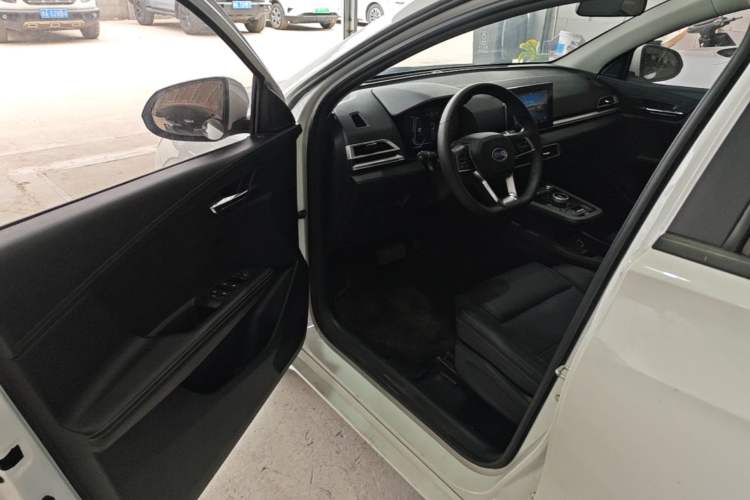 Used BYD e2 2019 Long-Range Version Yao·Luxury Trim Driver Seat