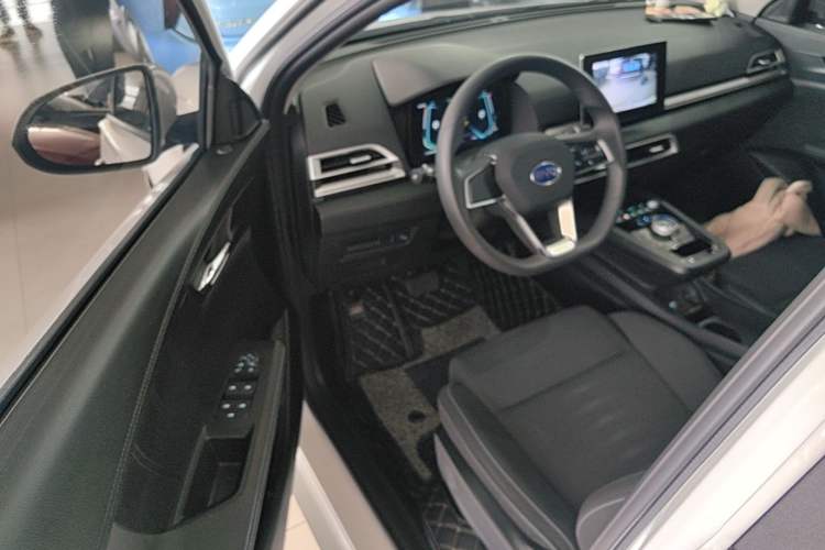Used BYD e2 2019 Standard Range Version – Yue·Standard Model Driver Seat
