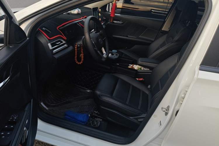Used BYD e2 2019 Long-Range Version Yao·Luxury Trim Driver Seat