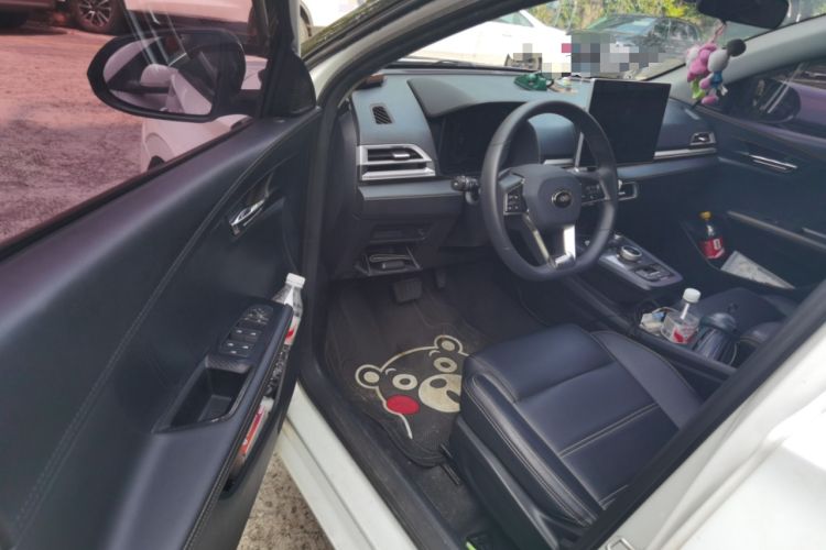 Used BYD e2 2019 Long-Range Version Yao·Luxury Trim Driver Seat