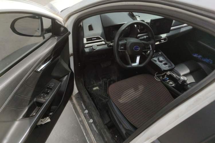 Used BYD e2 2019 Long-Range Version Yao·Luxury Trim Driver Seat