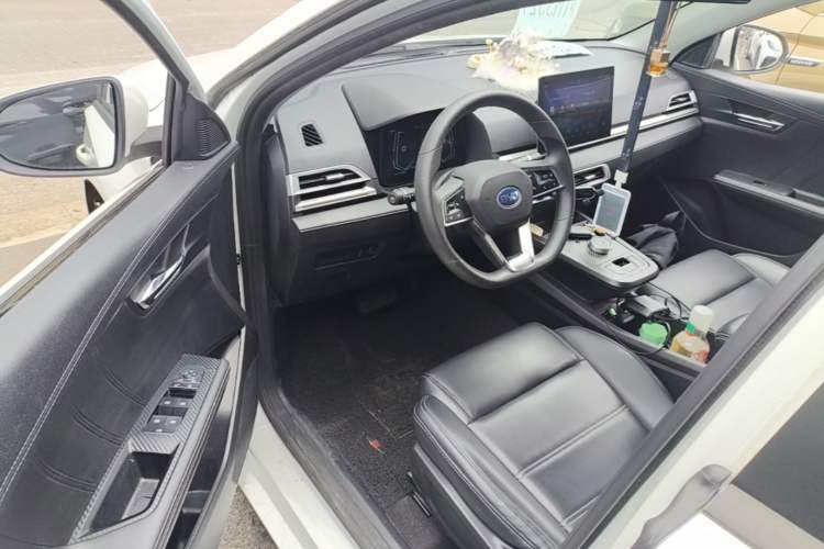 Used BYD e2 2019 Long-Range Version Yao·Luxury Trim Driver Seat
