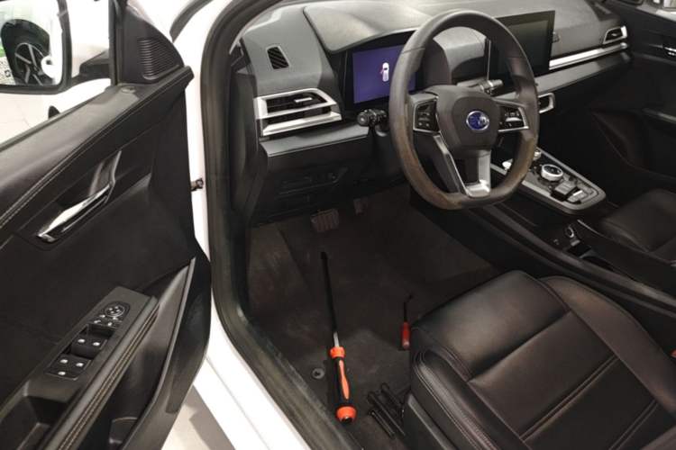 Used BYD e2 2019 Long-Range Version Yao·Luxury Trim Driver Seat