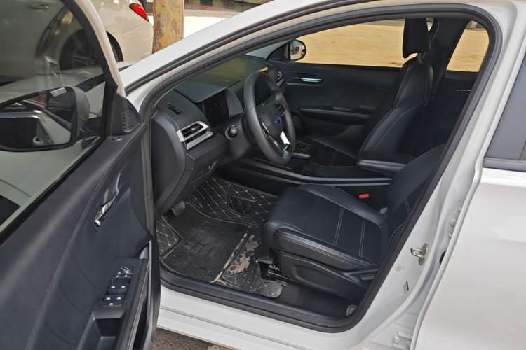 Used BYD e2 2019 Long-Range Version Yao·Luxury Trim Driver Seat