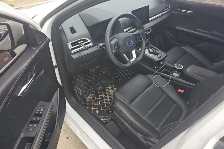 Used BYD e2 2019 Long-Range Version Yao·Luxury Trim Driver Seat