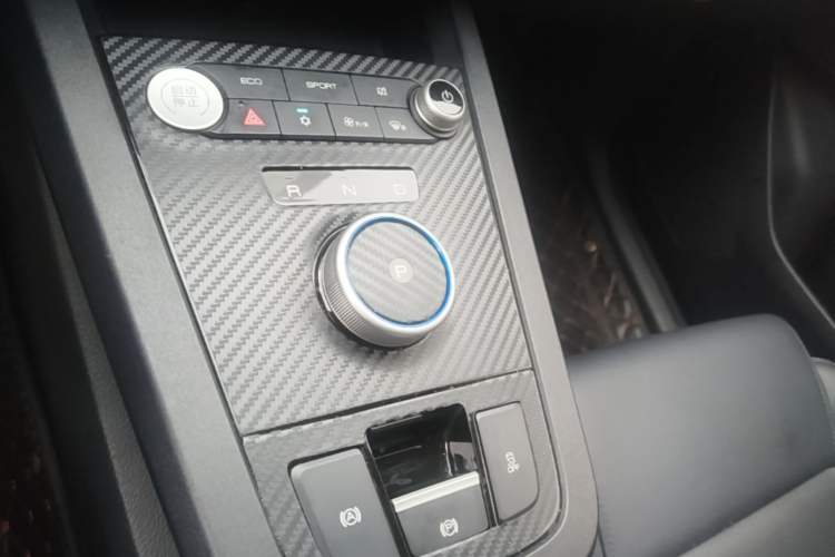 Used BYD e2 2019 Long-Range Version Yao·Luxury Trim Gear Lever
