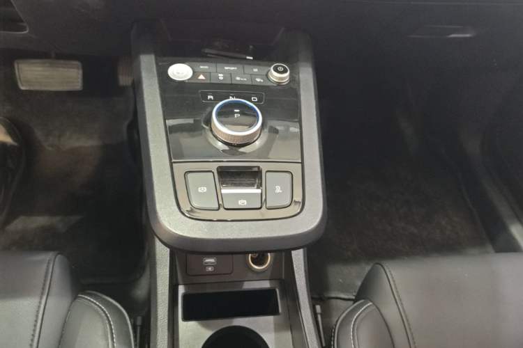 Used BYD e2 2019 Long-Range Version Yao·Luxury Trim Gear Lever