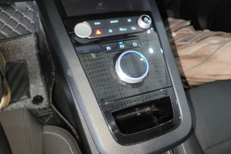 Used BYD e2 2019 Standard Range Version – Yue·Standard Model Gear Lever